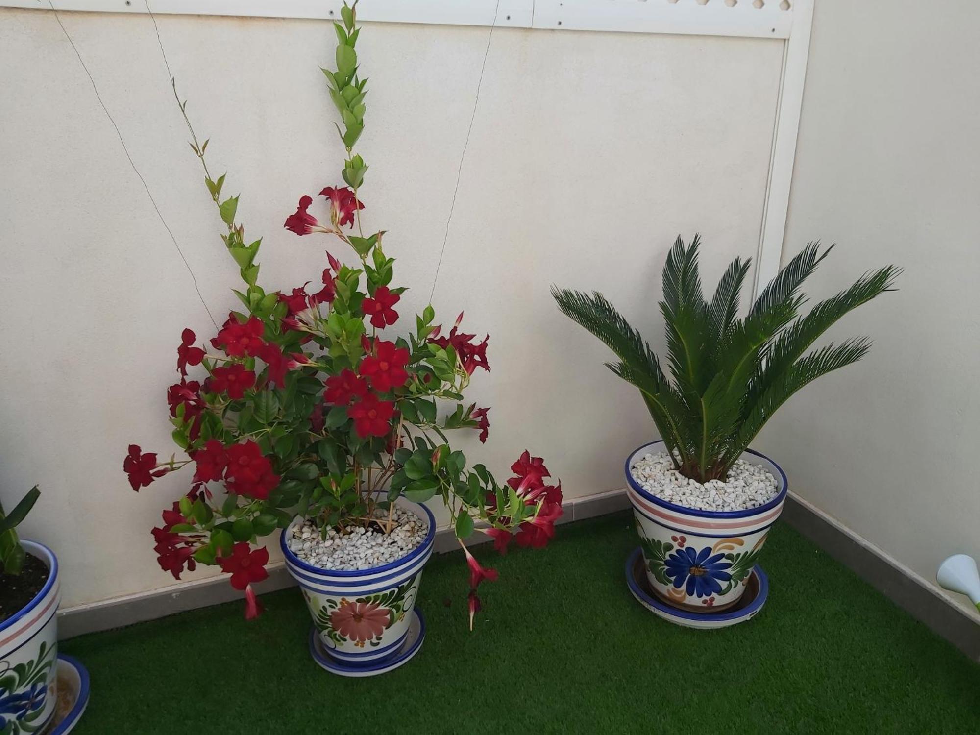 Appartement To Be In Málaga